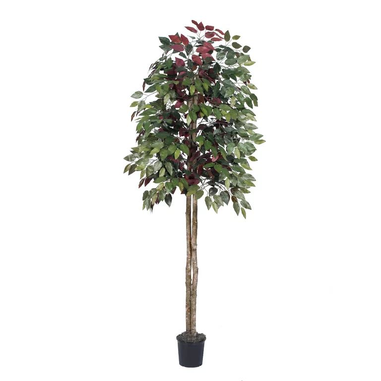 Vickerman 6' Artificial Capensia tree Set in Black Pot | Walmart (US)
