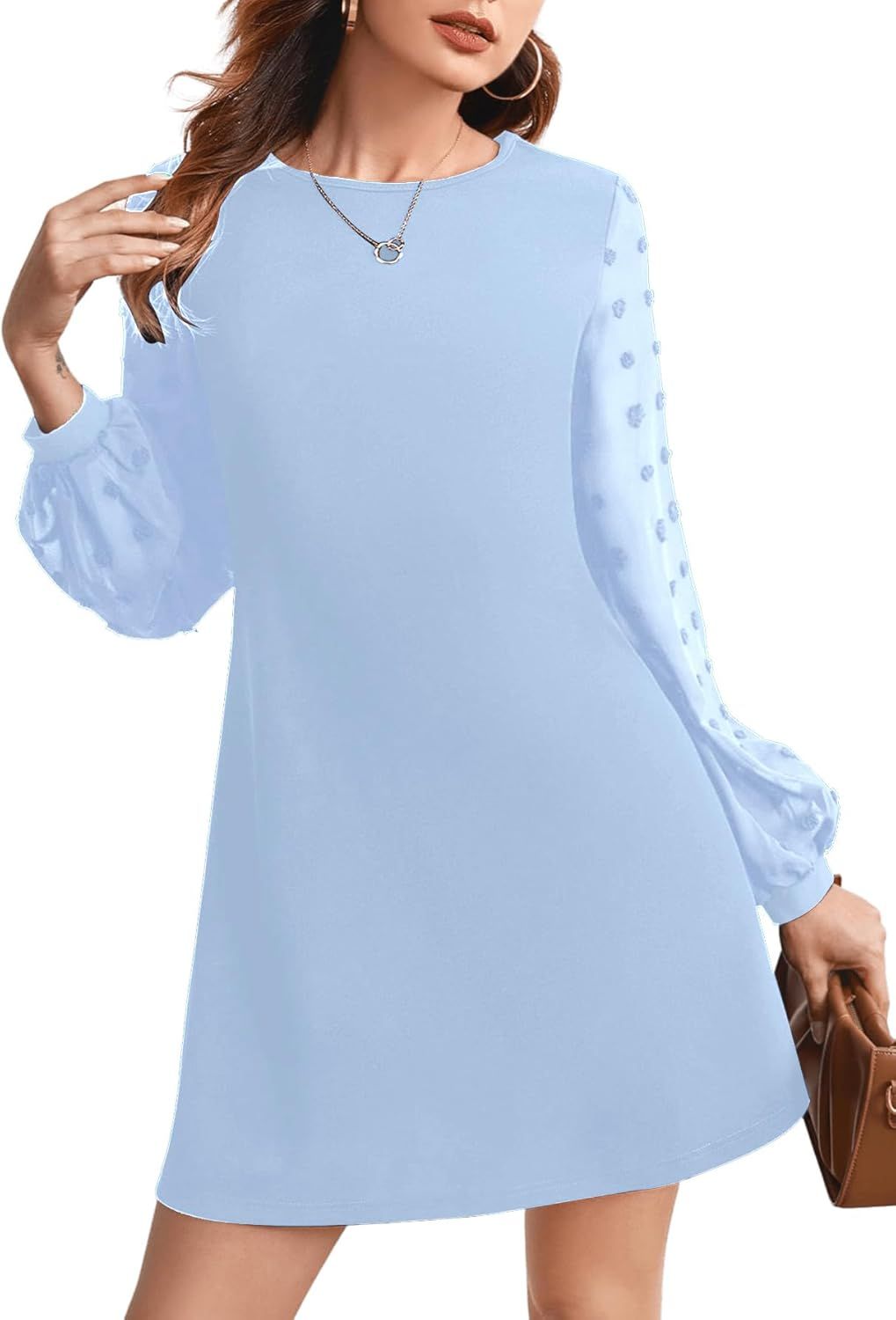 SweatyRocks Women's Elegant Mesh Contrast Long Sleeve A Line Mini Short Dress | Amazon (US)