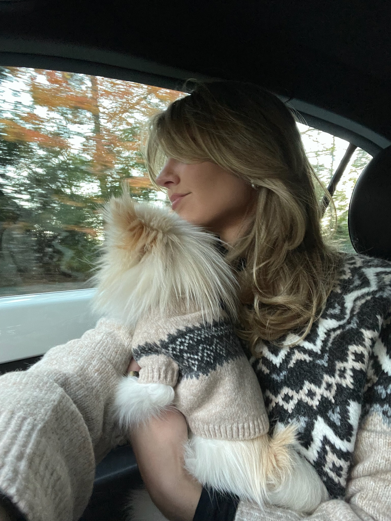 Matching sweaters for your dog and you!! The perfect gift for your animal loving friends, I am obsessed 🤩🤩  

Dog sweaters - Abercrombie matching animal animal sweaters - sweater inspo 

#LTKstyletip #LTKHoliday #LTKGiftGuide