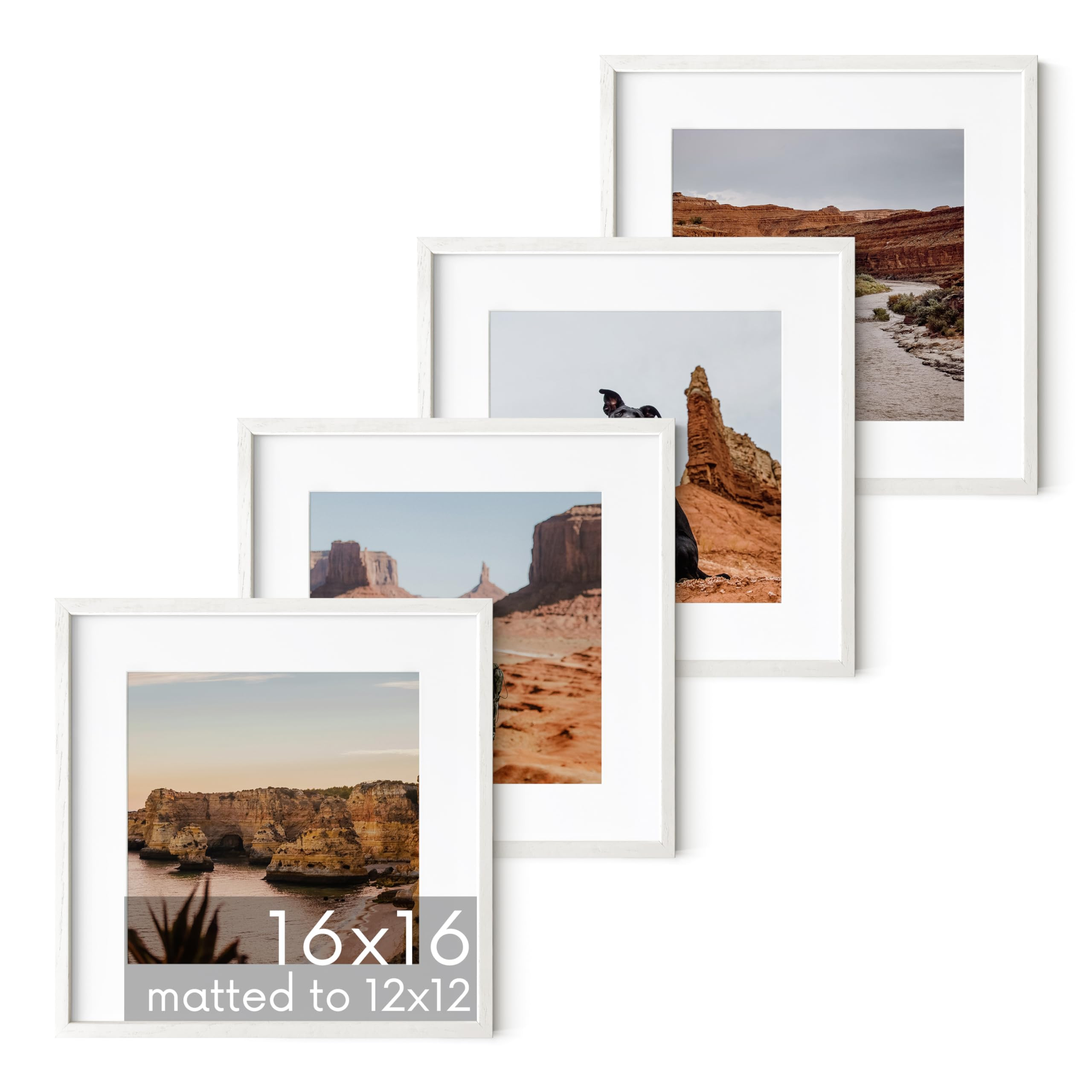 HAUS AND HUES Solid Oak Wood 16”x16” Picture Frames Matted to 12”x12” Set of 4 - White Pi... | Amazon (US)