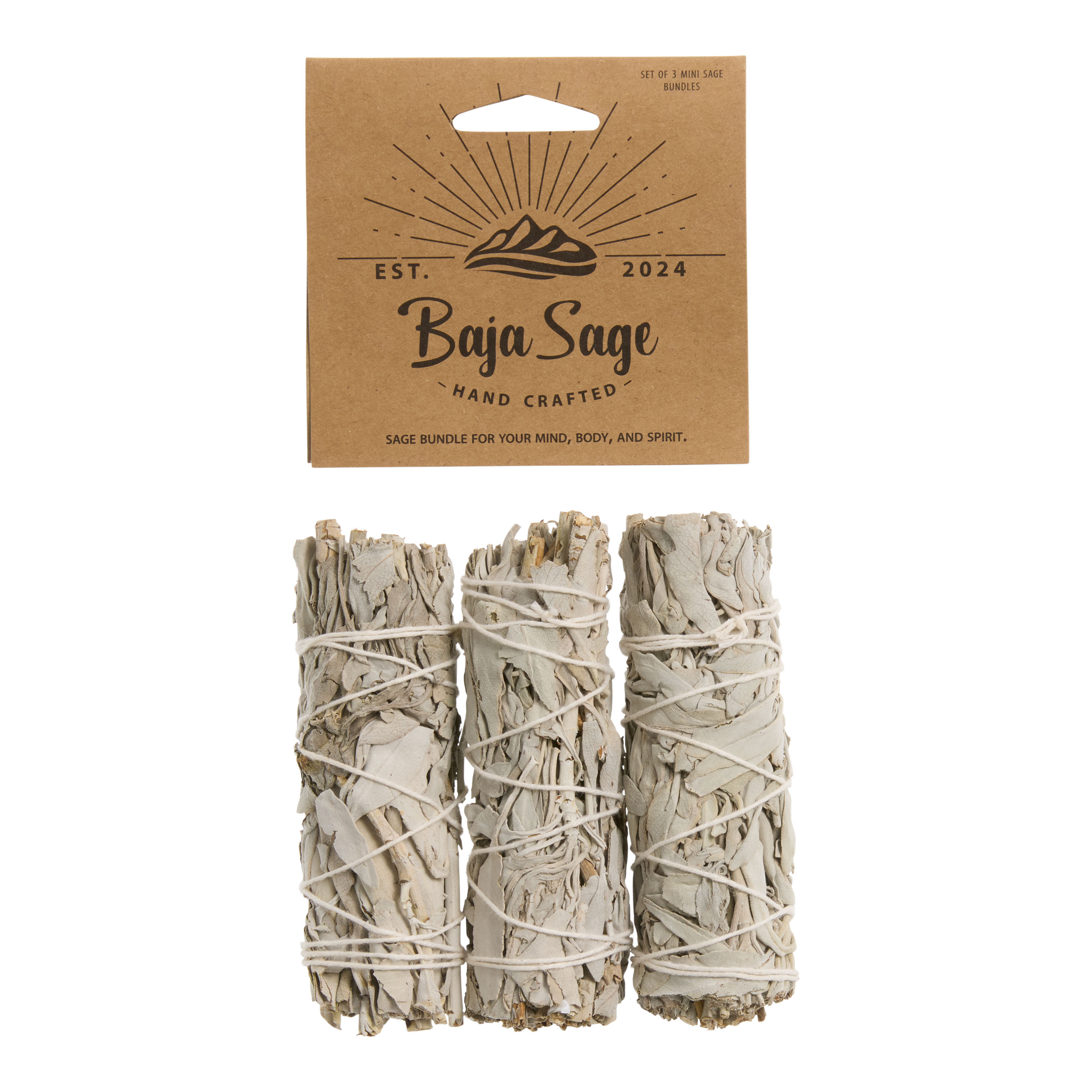 Baja Sage Mini Bundles 3 Pack | World Market