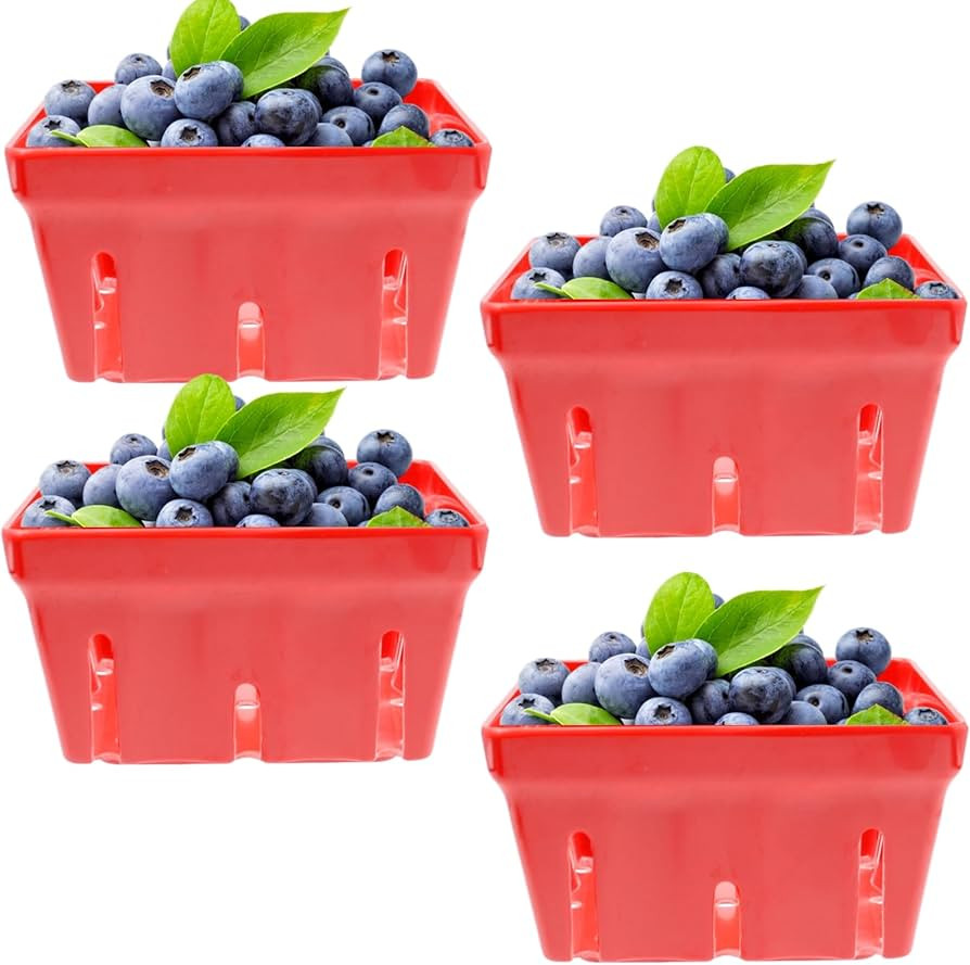 4 Pack Berry Basket, Small Berry Bowl With Holes, Melamine Kitchen Fruit Colander for Counter, Sq... | Amazon (US)