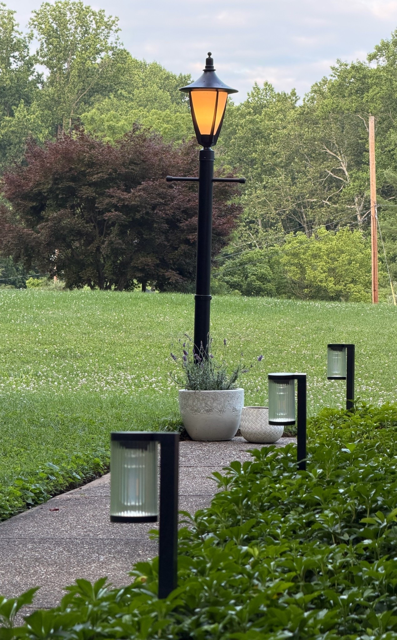 love these solar lights ! They work amazing, we put them in last june so it's been a year & they are still holding up great

#LTKSeasonal #LTKHome #LTKSaleAlert