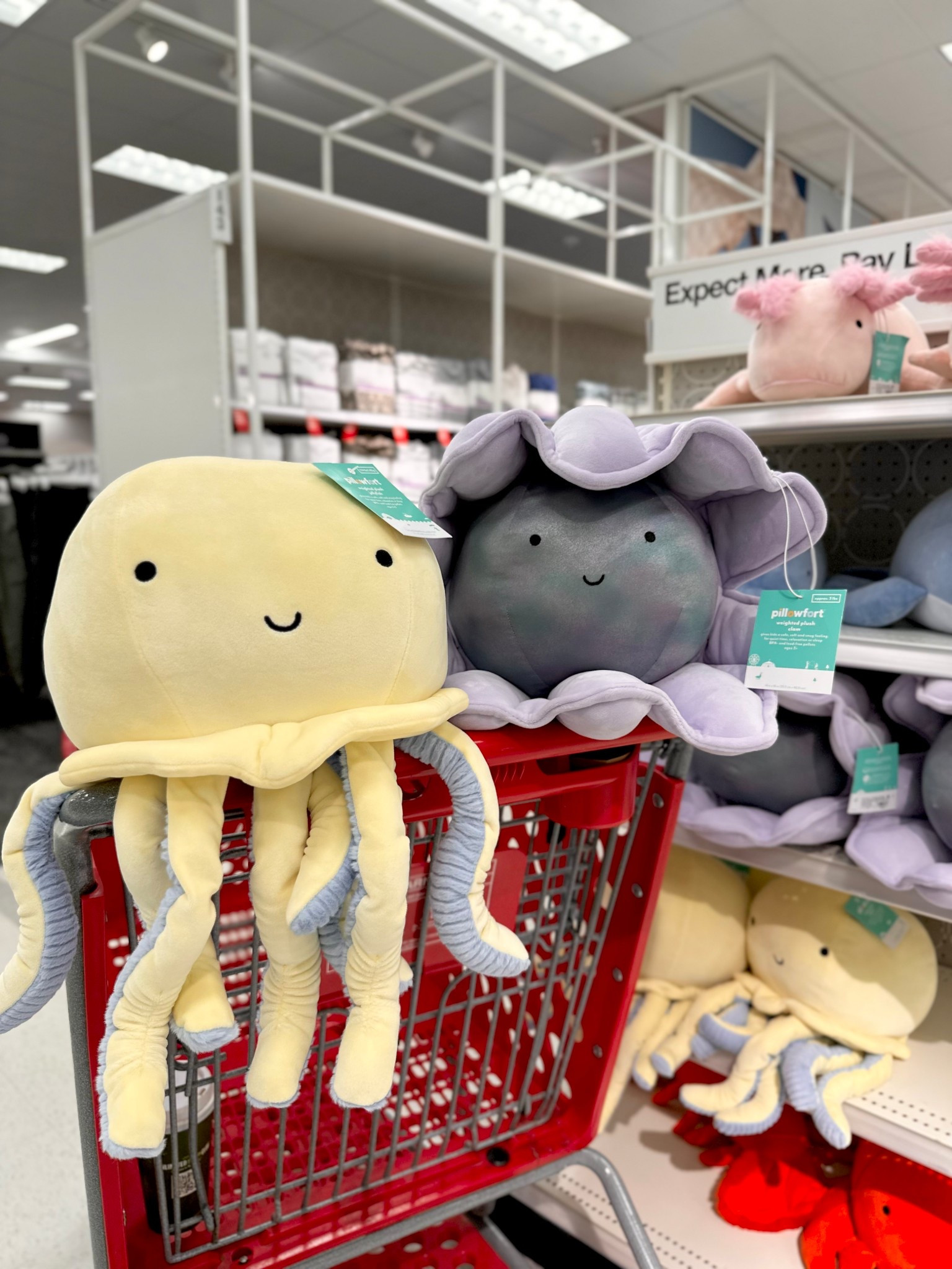 Weighted plush 

#LTKHome #LTKKids #LTKmomlife