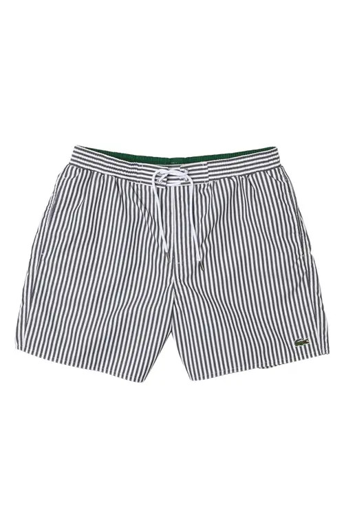 Lacoste Stripe Swim Trunks in Hhw Navy Blue/Flour at Nordstrom, Size 4 | Nordstrom