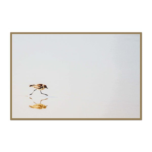 Minimalist Tiny Shorebird | Urban Garden Prints