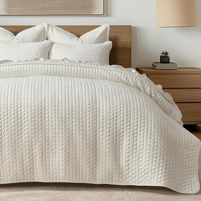 EverGrace Luxury Velvet Quilt Set Queen Size 3 Piece, Soft Cross-Stitch Velvet Comforter Set with... | Amazon (US)