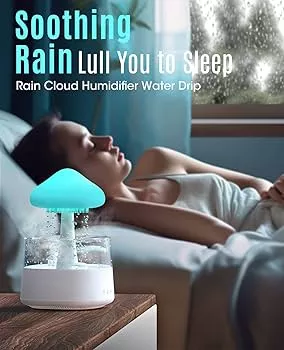 How does the mushroom rain cloud humidifier work? Let me show