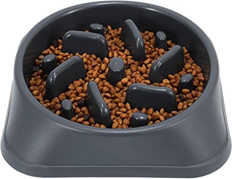 Amazon.com: JASGOOD Slow Feeder Dog Bowls Slow Eating Pet Bowl Eco-Friendly Durable Non-Toxic Pre... | Amazon (US)