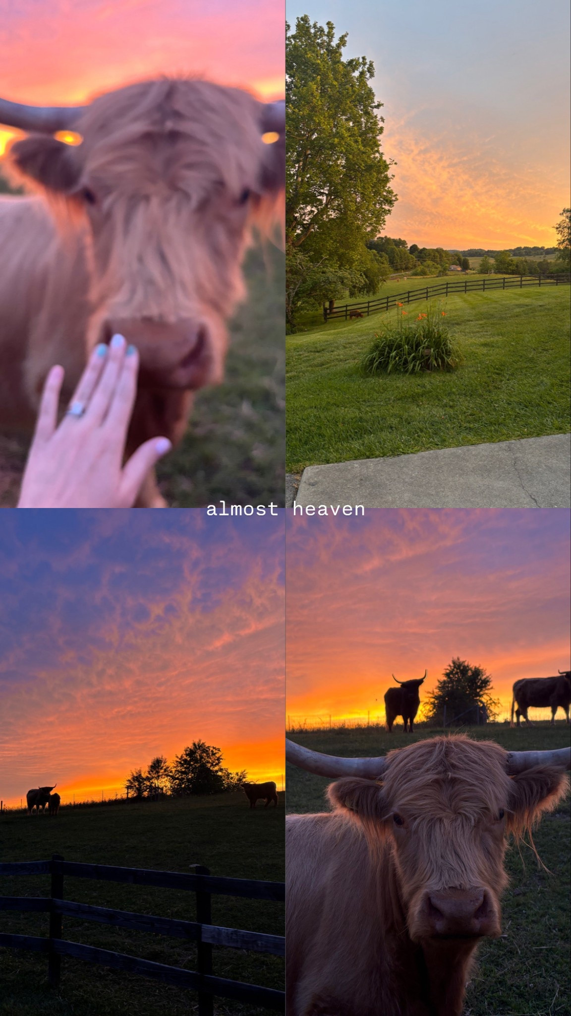 Summer nights 🐂❤️‍🔥

#LTKGiftGuide #LTKShoeCrush #LTKSummerEdit