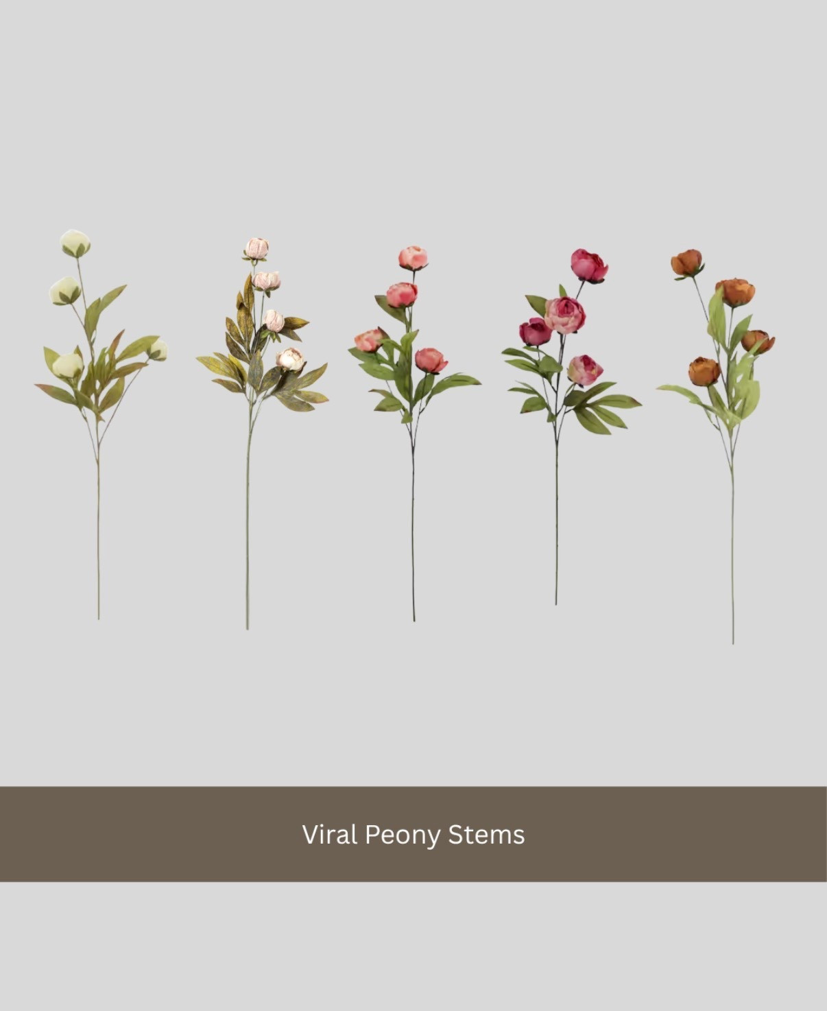 New colors are showing available to ship

Peony
Peonies
Stems
Vase

#LTKHome #LTKSeasonal