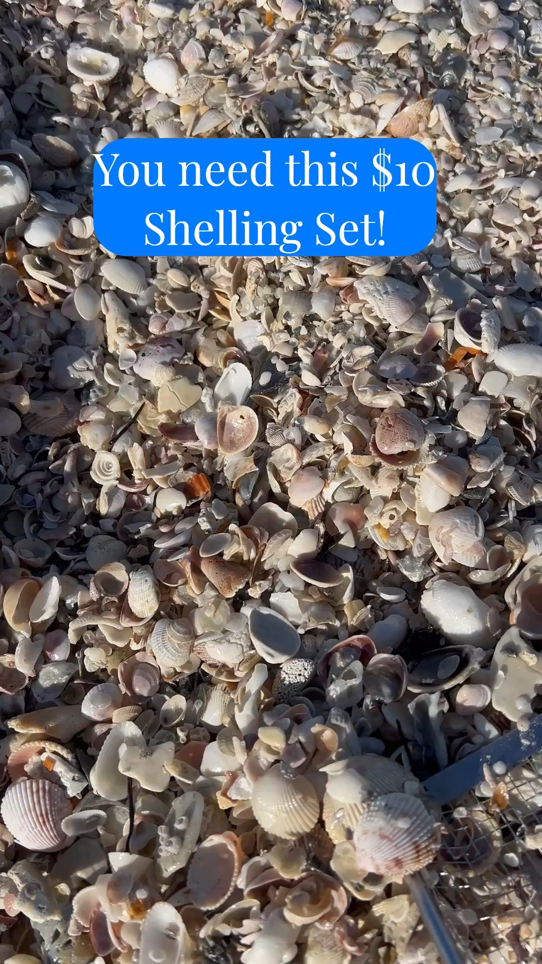 You need this $10 shelling set. It works great in the water and on the beach digging through shells. Love the bag it comes with too!


#LTKSeasonal #LTKOver40 #LTKSaleAlert #LTKTravel #LTKgrwm #LTKootd #LTKSwim #LTKvlog