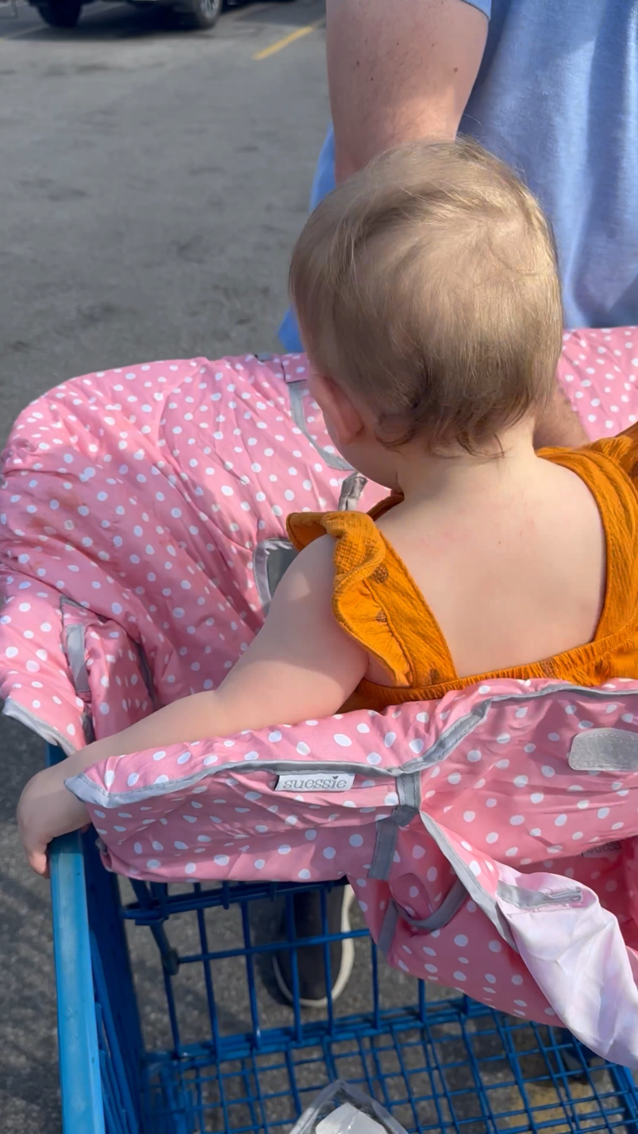 Shopping Cart & High Chair Cover for babies/toddlers

#LTKKids #LTKVideo #LTKBaby