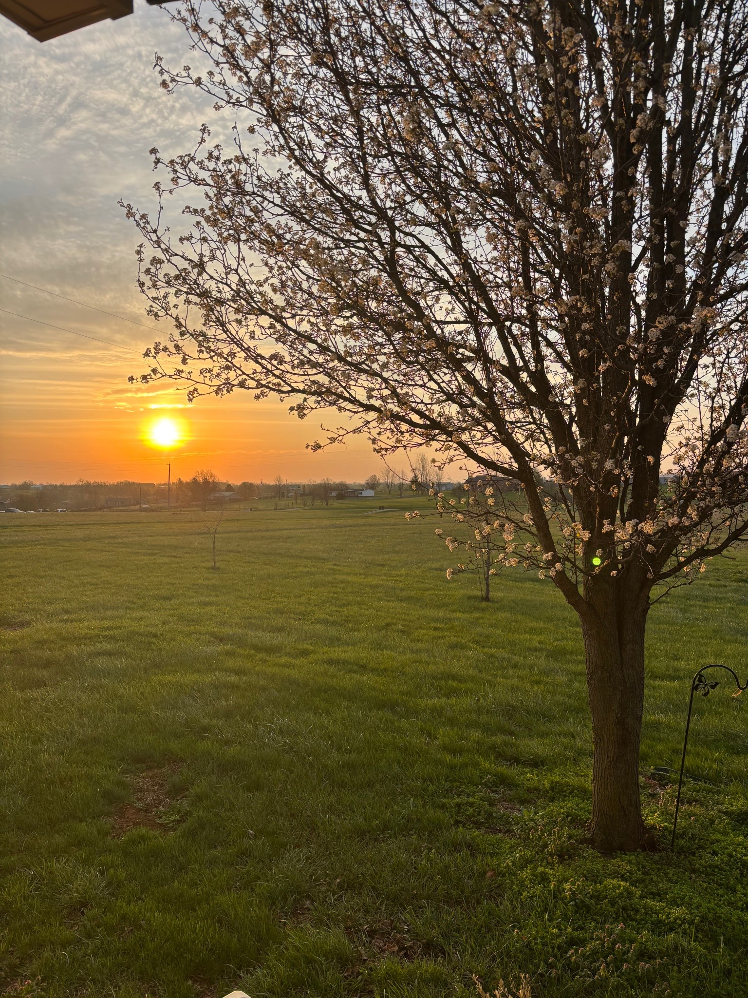 Sunrise from the property is just as stunning as sunset!! 

#LTKSeasonal #LTKmorningroutine #LTKdayinmylife