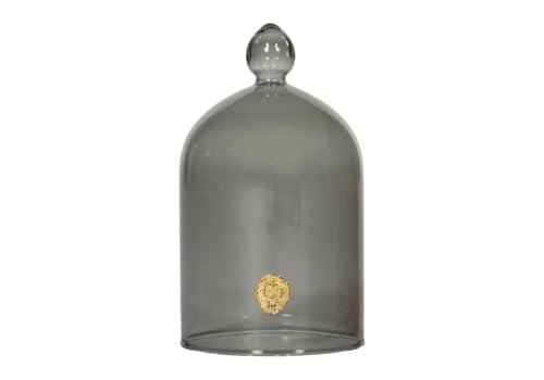Alice Lane Glass Cloche – Clear Glass Dome Display Case for Home Decor, Centerpieces, Candles, Keepsakes & Collectibles – Elegant Decorative Cloche Dome for Table, Mantel, or Bookshelf | Smoke | Amazon (US)
