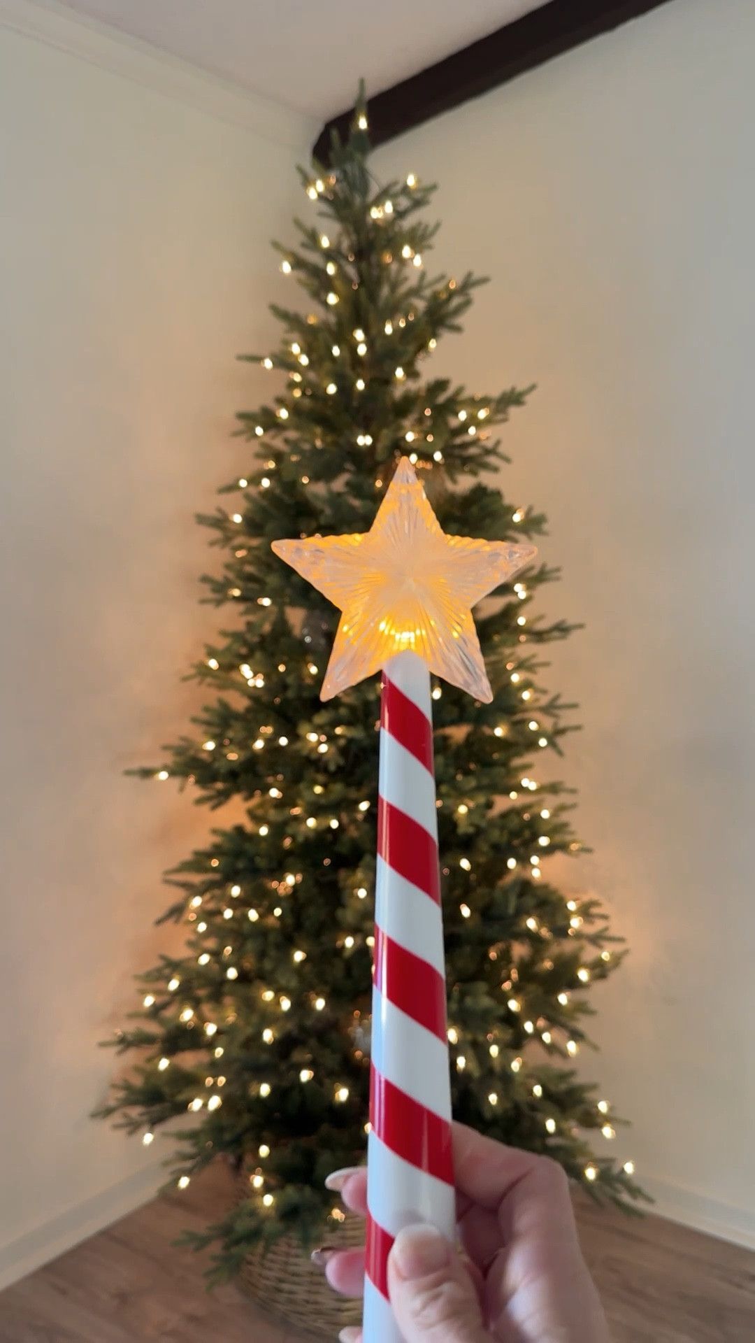 Merry Christmas extra magical with this remote wand that turns on the tree! ✨🎄

#LTKHoliday #LTKSeasonal #LTKHome