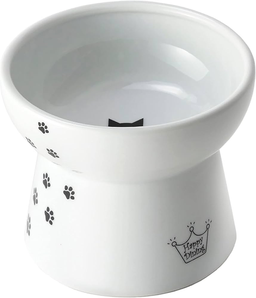 Necoichi Raised Cat Food Bowl Large (Cat) | Amazon (US)