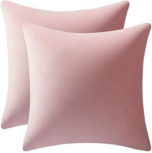 DEZENE 18x18 Throw Pillow Covers Pink: 2 Pack Cozy Soft Velvet Square Decorative Pillow Cases for Fa | Amazon (US)