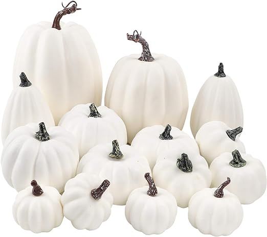 FUNARTY 16pcs White Artificial Pumpkin Various Sizes Pumpkin Decorations for Fall Harvest Party, ... | Amazon (US)