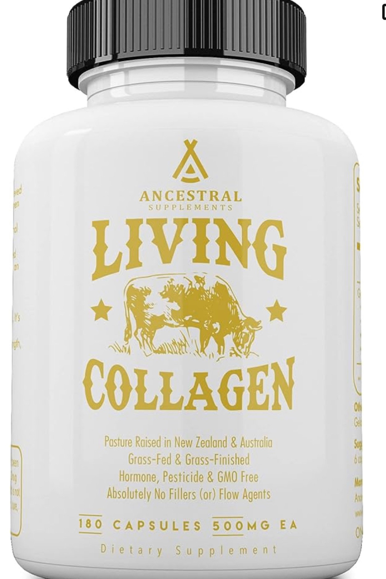 Why Embrace Ancestral?
Robust strength and exceptional health were central to our ancestor’s existence. We were once strong, healthy and fit human beings, built for the most unwelcoming and dangerous conditions. For most of human history we we’re nose-to-tail eaters, meaning we ate the entire animal, not just the muscles, which provided us with raw nutrients we needed for health and happiness 