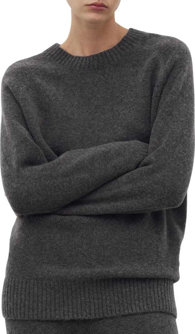 Crewneck Raglan Sleeve Sweater | Nordstrom