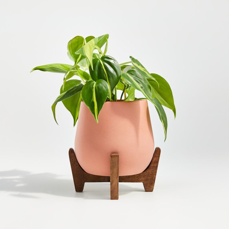 Evie Small Planter with Stand | Crate and Barrel | Crate & Barrel