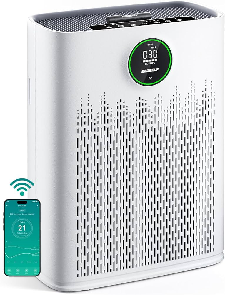 Smart Air Purifier for Home Large Rooms, with WiFi Control, Covers Up to 2400 Ft², Smart Mode, A... | Amazon (US)