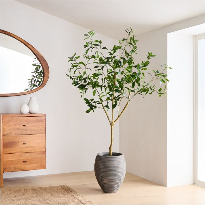 Faux Potted Laurel Tree w/ Planter | West Elm (US)