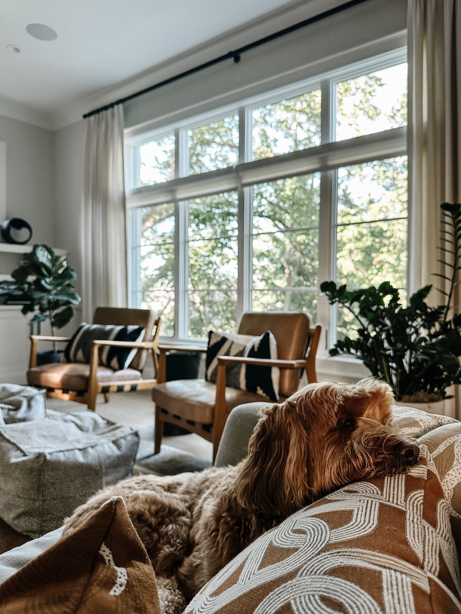 Fall home decor 🍁

#LTKHome #LTKFindsUnder50 #LTKSeasonal