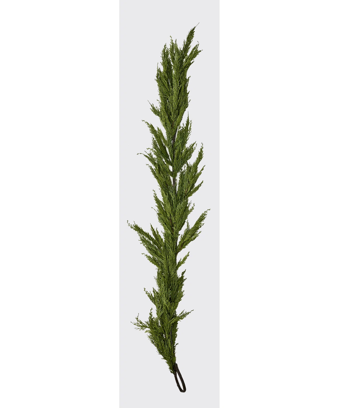 The Holiday Aisle® 6' Cedar Garland & Reviews | Wayfair | Wayfair North America