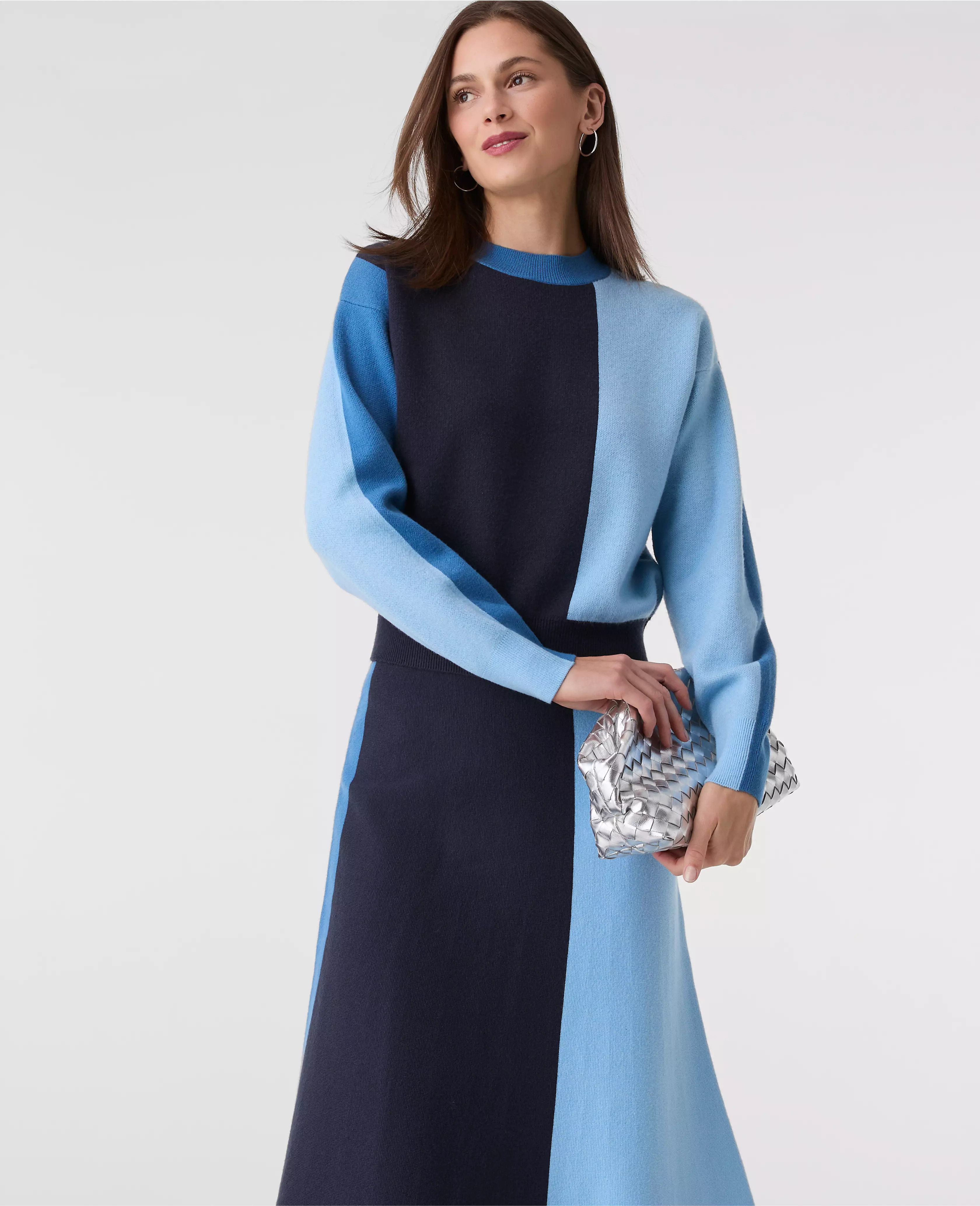 Colorblock Crew Neck Sweater | Ann Taylor