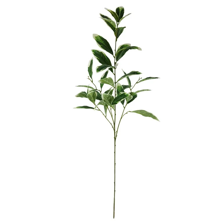 Mainstays 40.5" Indoor Artificial Foliage Stem, Peperomia, Green and White Color. | Walmart (US)