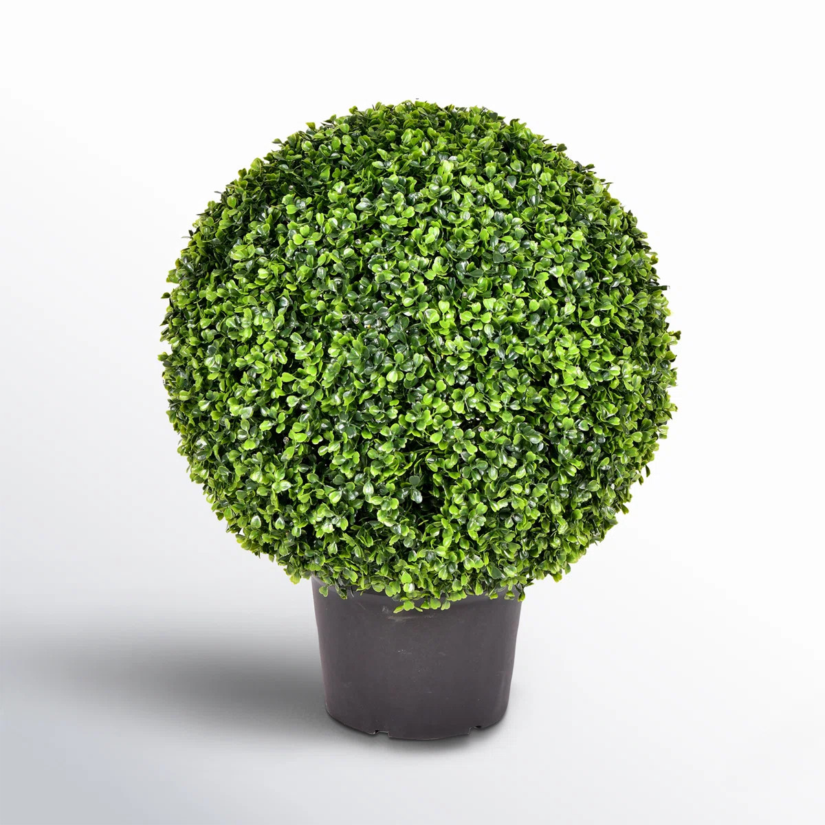 Artificial Green Boxwood Ball. | Birch Lane