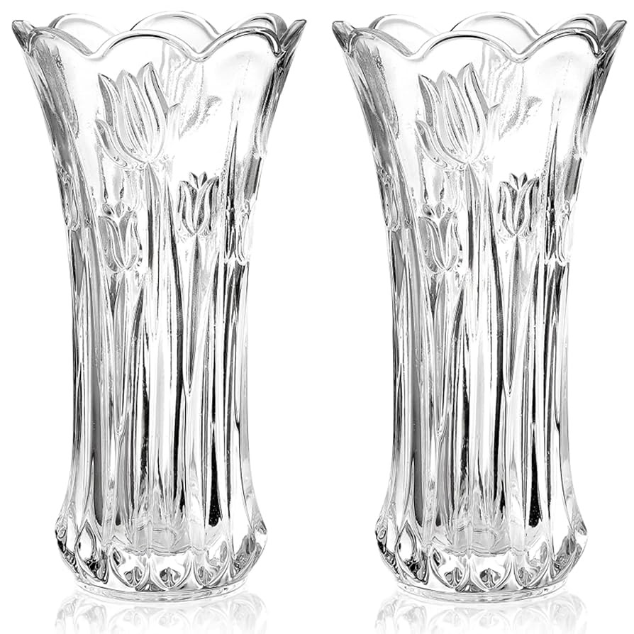 Dicunoy Set of 2 Glass Flower Vase, 9.5" Large Flower Vases for Centerpieces, Modern Clear Heavy ... | Amazon (US)
