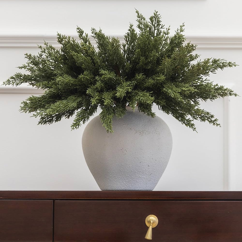 MISSPIN 12 Pcs 19.5 Inches Christmas Cedar Branches, Cedar Artificial Christmas Branches DIY Craf... | Amazon (US)