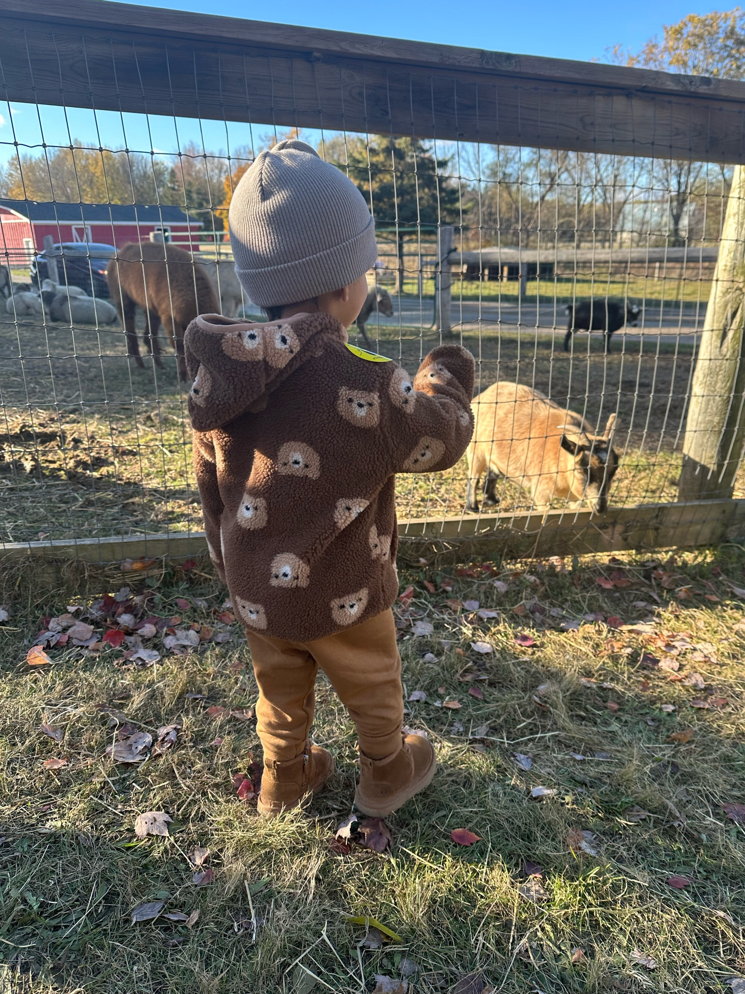 Toddler clothes we are loving this Winter  🐻 #toddlerfashion #toddlerclothes #joefresh #torontomom #torontoblogger #ootd #toddlerhaul #todderboy #winterfashion #canadiankids 

#LTKcanada #LTKkids #LTKwinter