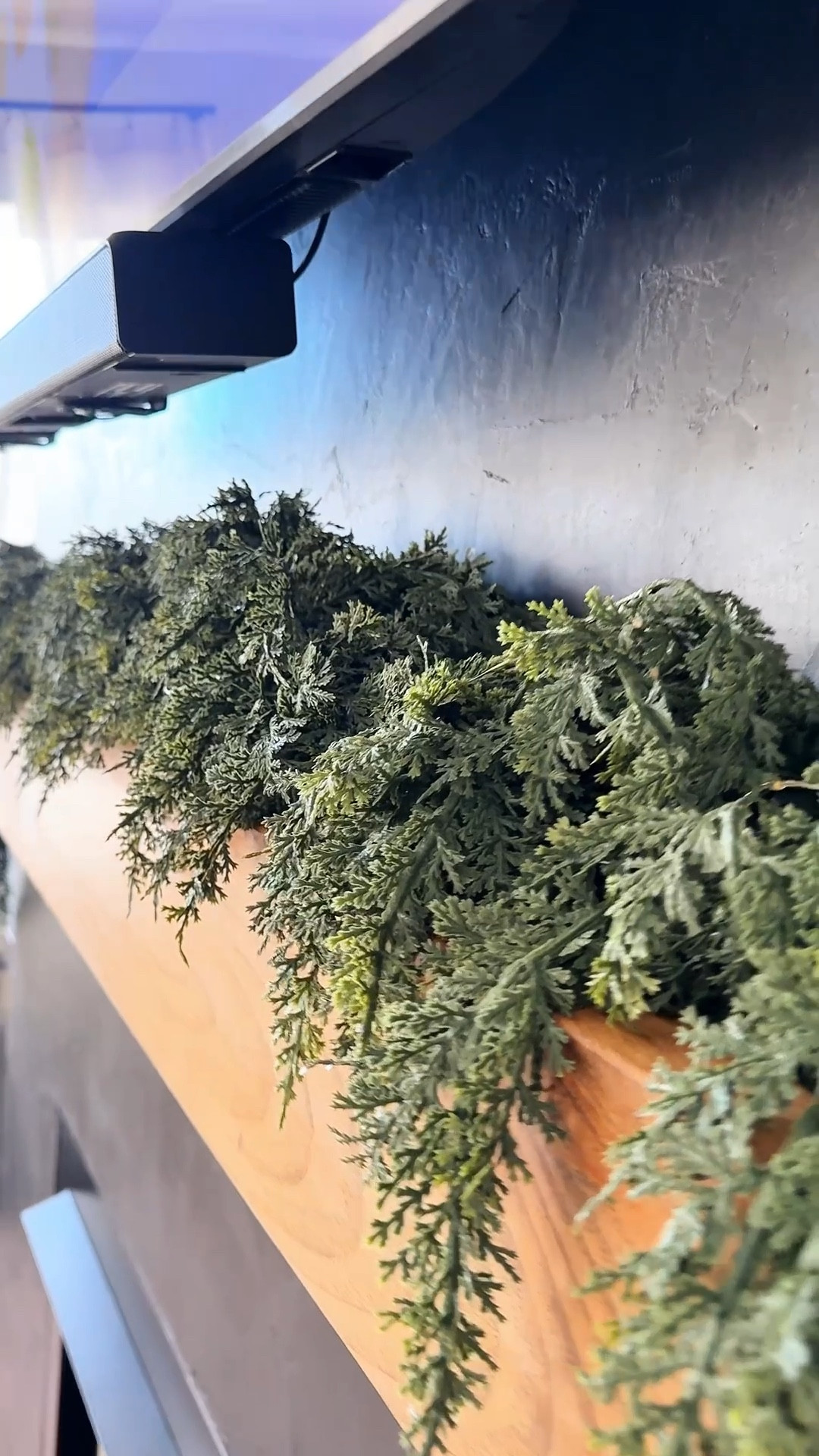 This Christmas cedar garland looks straight out of a designer catalog! But it’s literally from Amazon (😱😍) and comes in a 2-pack. I used it on our fireplace mantel, and the quality honestly blew me away. It’s full, realistic, and the perfect base for layering lights or ornaments. 🎄

If you’re decorating for the holidays and want that cozy, high-end look without the price tag, this garland is it.

#AmazonFinds #HolidayHomeDecor #ChristmasGarland #LTKHolidayHome #LTKFinds #ChristmasMantel #LTKHoliday #AmazonHomeFinds #ChristmasDecorIdeas #LTKHome #AffordableHolidayDecor #HolidayMantel #ChristmasAesthetic #HolidayDecorInspo #CedarGarland #LTKDecor #LTKUnder50 #ModernFarmhouseDecor #CozyHolidayHome #HolidayVibes

#LTKHome #LTKHoliday #LTKSeasonal