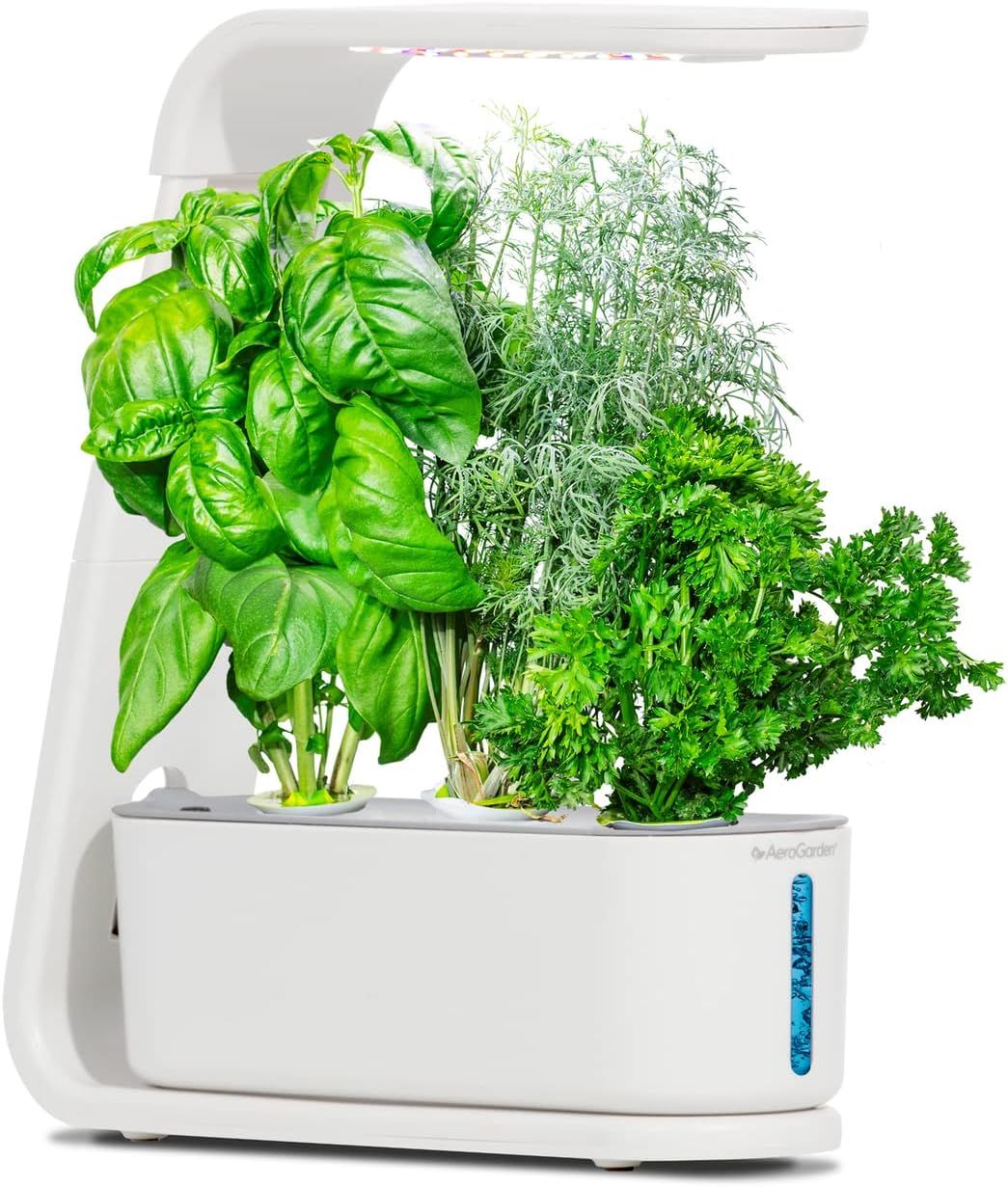 AeroGarden Sprout with Gourmet Herbs Seed Pod Kit - Hydroponic Indoor Garden, White | Amazon (US)