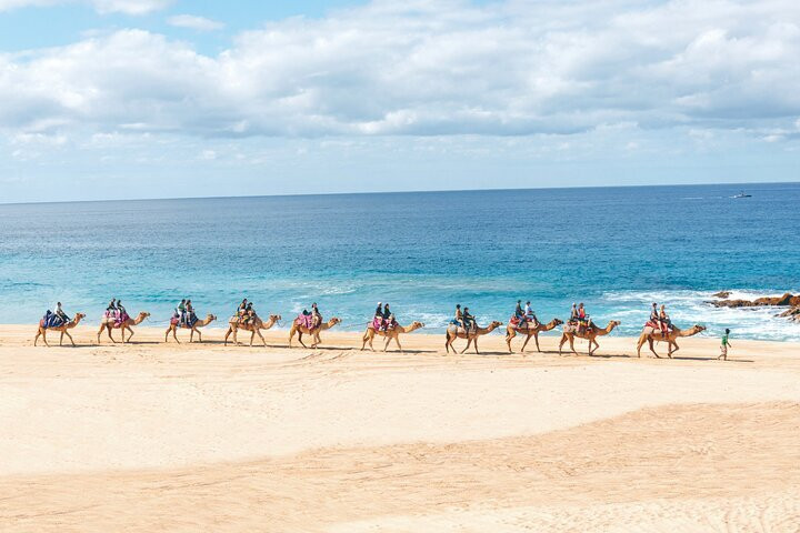 Cabo San Lucas | Tripadvisor - Experiences