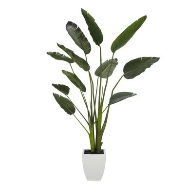 Faux Palm Tree | Z Gallerie
