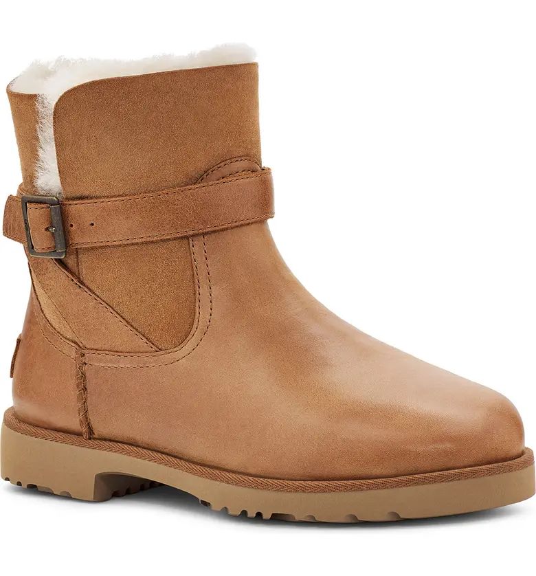 Romely Buckle Genuine Shearling Lined Bootie | Nordstrom