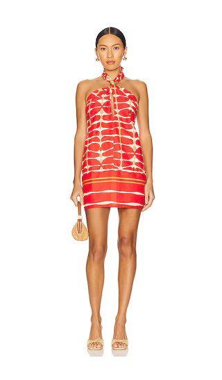 Aster Detail Short Dress in Agni | Revolve Clothing (Global)