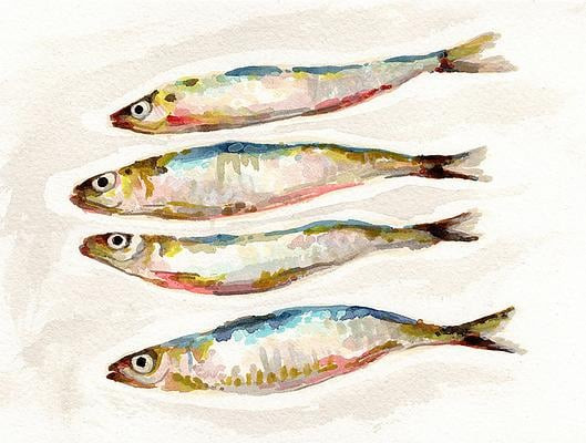 Sardines | Artfully Walls