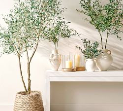 Faux Olive Trees | Pottery Barn (US)