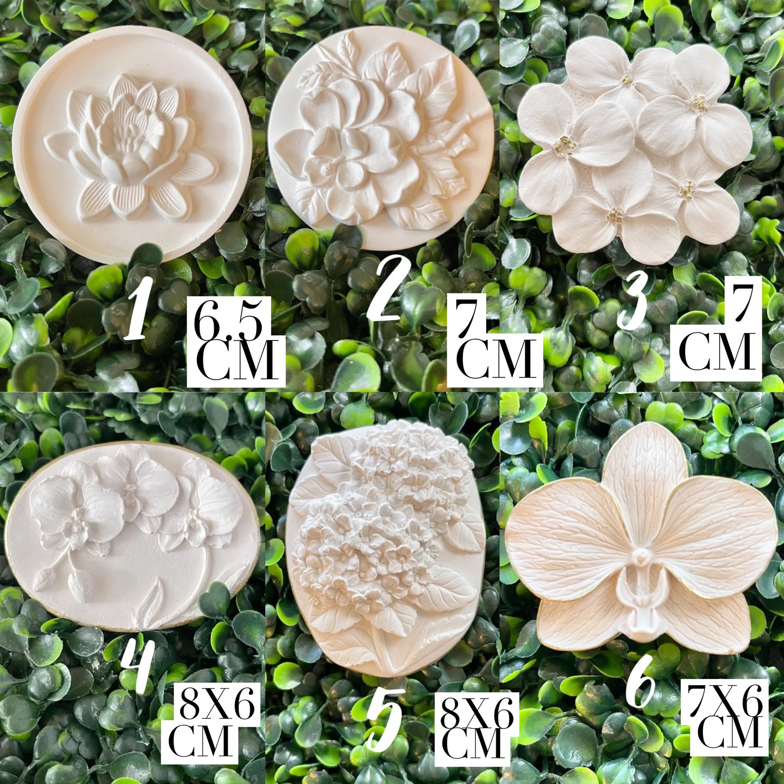 Botanical Intaglio Art on 5X7 or 6X6 Canvas, Plaster Medallions of Magnolia Hydrangea Orchid Lotu... | Etsy (US)