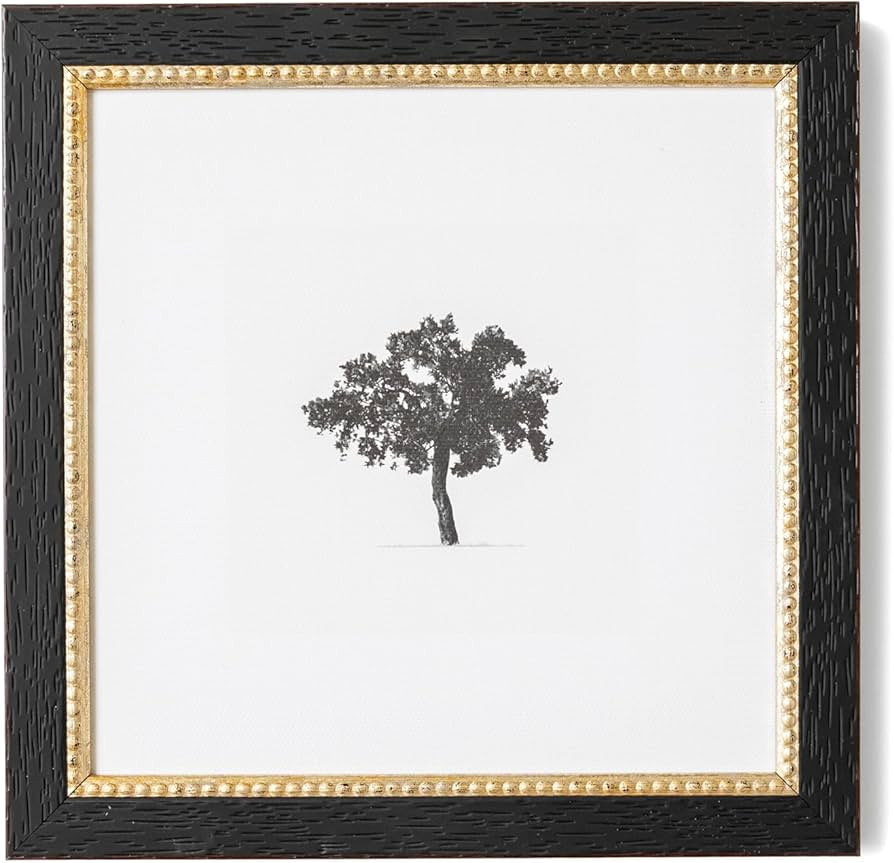 Petal Lane Tree Wall Art - Framed Antique Decor - Make Your Own Gallery Wall Frame Set - Dark Aca... | Amazon (US)