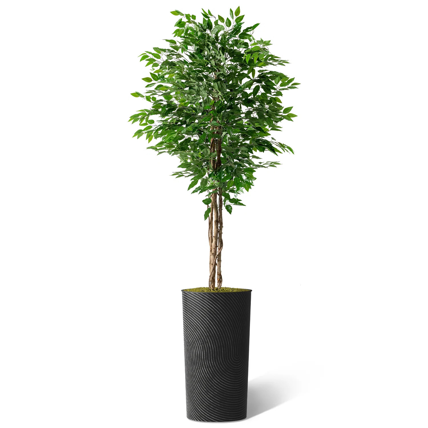 Artificial Tree In Modern Planter, Fake Ficus Silk Tree Home Decoration (Plant Pot Plus Tree) | Wayfair North America
