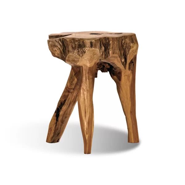 Teak Root Accent Stool | Wayfair North America