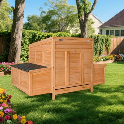 Chicken Coop With 2 Large Nesting Boxes, 59" Chicken Coops, Wooden Hen House For 4-6 Chickens, Outdoor Poultry Cage Duck Coop Weatherproof (nature) | Wayfair North America