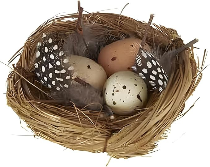 The Bridge Collection Faux Decorative Bird's Egg Nest - Cute Bird Nest with Eggs Tabletop Decorat... | Amazon (US)